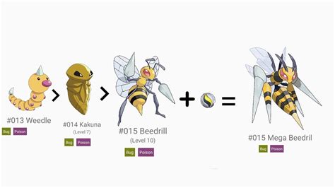 mega beedrill pokedex|what level does kakuna evolve.